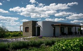 Pizzorno Lodge & Wine